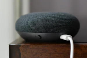Google Mini