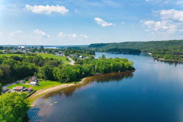 Pontiac Oust - Chimpr